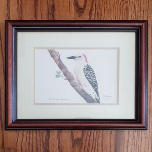 B Hutcheson RED BELLIED WOODPECKER Bird Art Signed Numbered Framed 11.5" x 9.5"